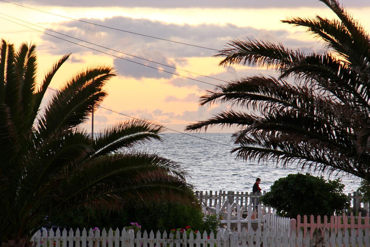 Afribode'S Adenium Beachfront Apartment Cape Town Exterior foto